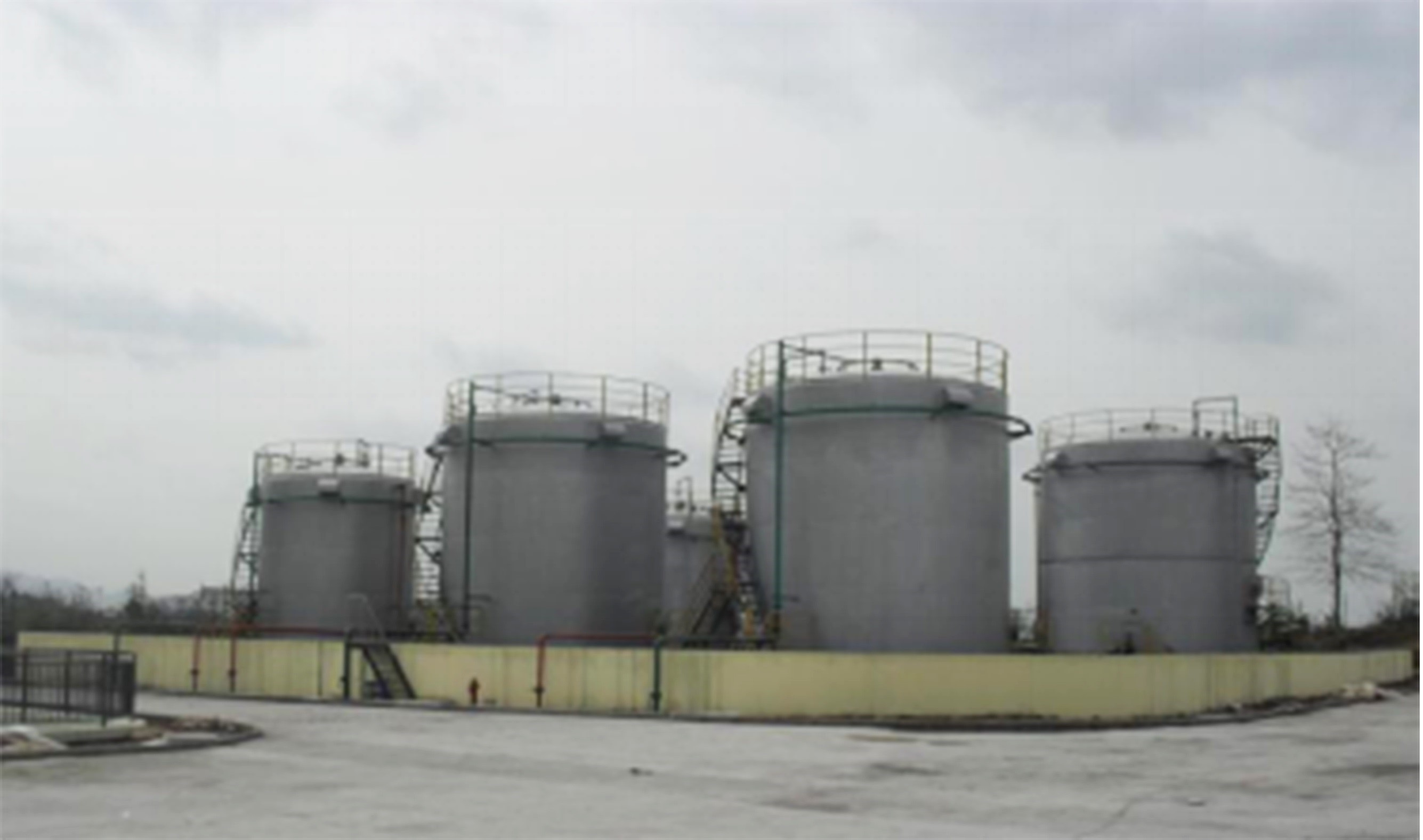 1562233636130480.jpg 1.jpg